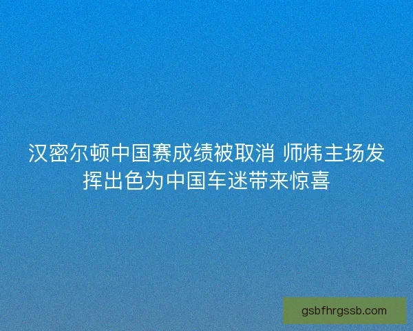 汉密尔顿中国赛成绩被取消 师炜主场发挥出色为中国车迷带来惊喜