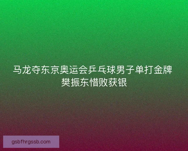 马龙夺东京奥运会乒乓球男子单打金牌 樊振东惜败获银